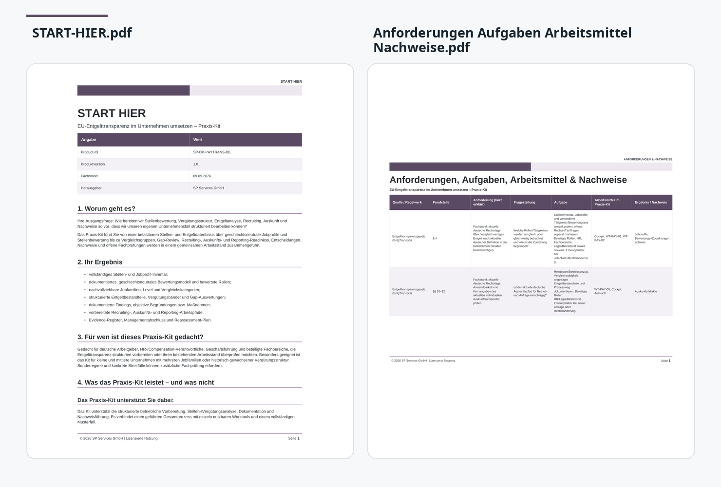 Realer Einblick in EU-Entgelttransparenz im Unternehmen umsetzen – Praxis-Kit