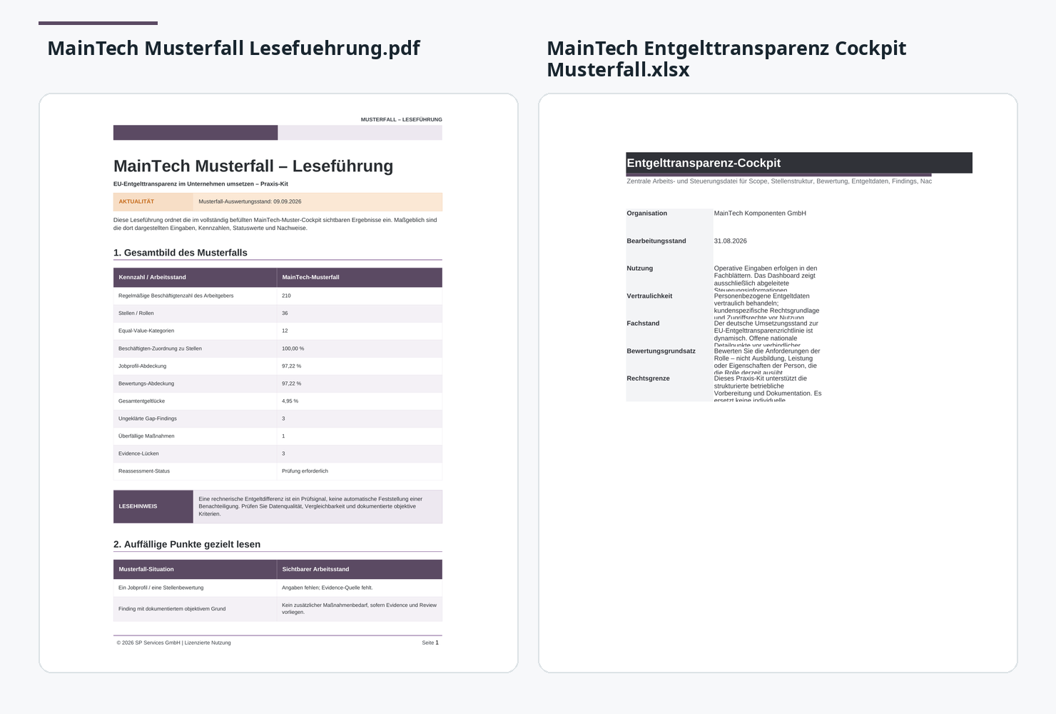 Realer Einblick in EU-Entgelttransparenz im Unternehmen umsetzen – Praxis-Kit