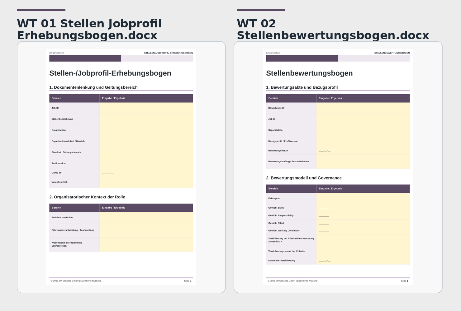Einblick in den Stellen-/Jobprofil-Erhebungsbogen und den Stellenbewertungsbogen des Praxis-Kits