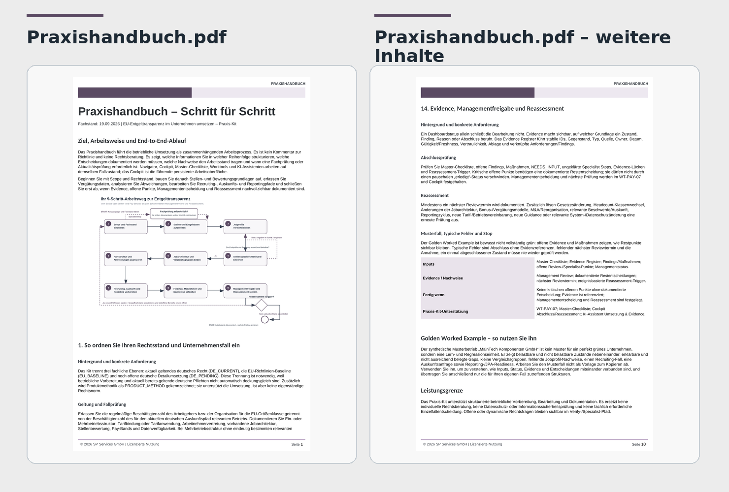Einblick in das Praxishandbuch und weitere Inhalte des Praxis-Kits